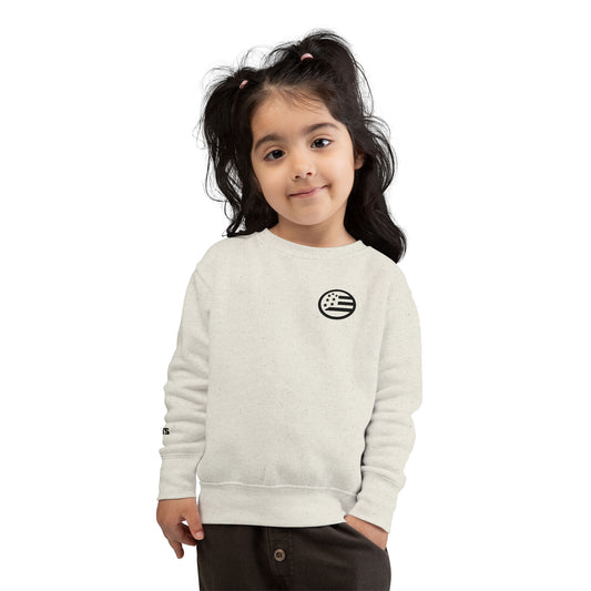 Toddler Sweatshirt - Minimal American Flag Logo Crewneck (Organic Ivory)